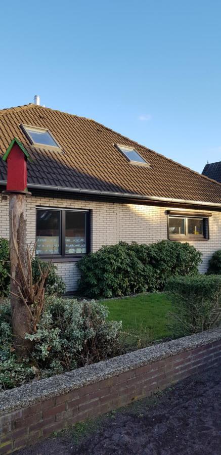 Antje's